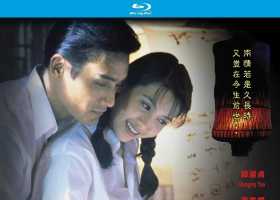 1993.新人皮灯笼（剪辑完整版）.BD2160p.粤国双语中字