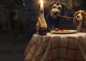 2019【小姐与流浪汉/小姐與流氓】真狗版 1080P