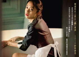 [2010][下女][粤韩双语/内挂繁简中字][BlueRay1080-mkv/2.2G]