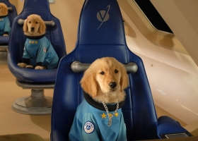 [迪士尼寶貝狗系列]【寶貝狗太空歷險/太空巴迪】2009