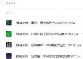 【蜡笔小新剧场版】25集