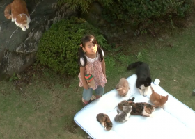 【貓咪跳出來】粵語無字480P