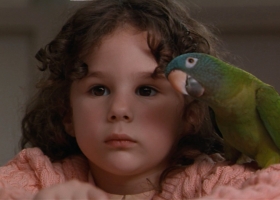 【阿鸚愛說笑】粵語 1080P