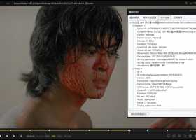 4KUHD新碟发行 力王1991樊少皇4K原盘REMUX国粤双音37G