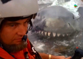 1978 大白鲨 II & 1983 大白鲨 III