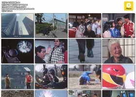 【飛鳥戰隊】 粵語 合成 全集